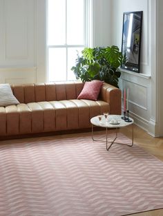 a living room with a couch, coffee table and potted plant in the corner