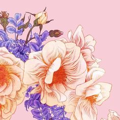 an image of flowers on a pink background