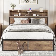 a cat standing in front of a bed with two drawers underneath it and a painting on the wall