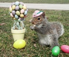 there are two pictures one has a squirrel and the other has an easter egg tree