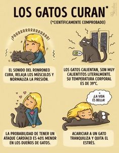 an image of a woman and her cat with caption in spanish for the same reason