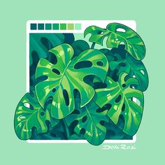 a green plant with lots of leaves in the center on a light green background illustration