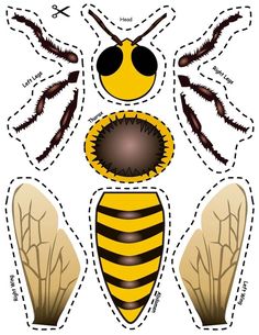 Insects Preschool, Bee Activities, Pola Kotak, Insect Crafts, Insects Theme, Bee Crafts, Bee Art, Bugs And Insects, Bee Theme