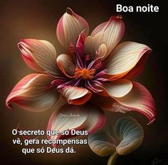 a flower with the words boa note written in spanish on it and an image of a flower