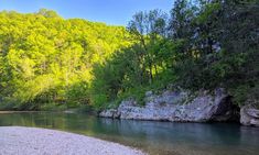 a river running through a lush green forest