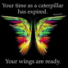 an angel wing with the caption your time as a caterpillar has expired