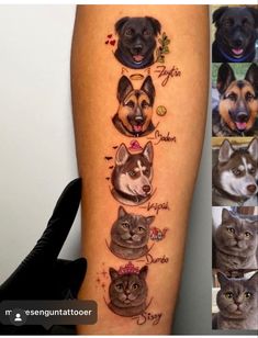 an image of dogs and cats on the leg