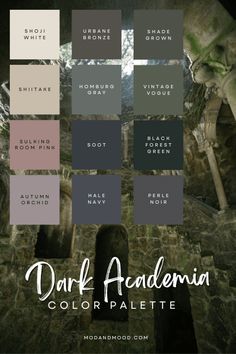 the color palette for dark academy