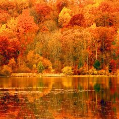 the trees are changing colors over the water