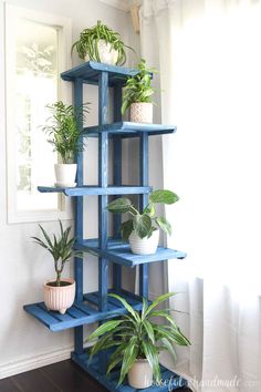 a blue shelf with plants on top of it