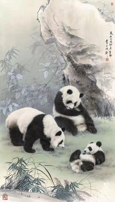 three panda bears are sitting in the grass