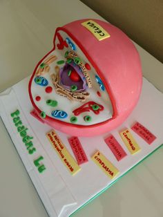 a cake that is shaped like a cell phone