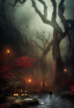 a person walking through a dark forest at night with lanterns on the ground and trees in the background