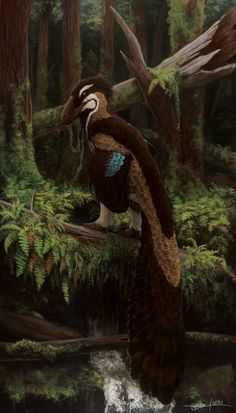 a painting of a bird perched on a tree branch in the woods with water running through it