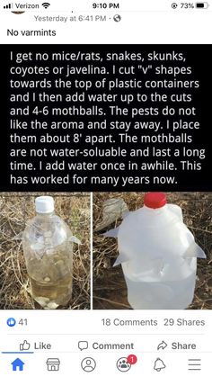 two bottles of water sitting on top of dry grass with the caption'i got no mice, snakes, skunks, covidates or javena