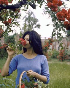 a woman holding a basket in her hand and smelling red flowers on the tree branch