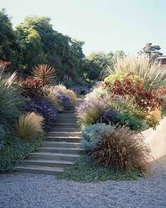 an outdoor garden with steps leading up to trees and plants on either side of the path