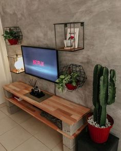 a flat screen tv sitting on top of a wooden table next to a potted cactus