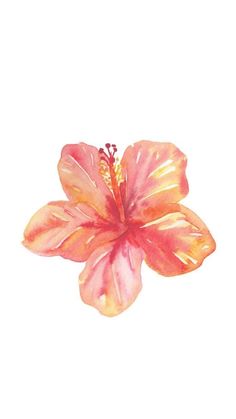 a watercolor painting of a flower on a white background