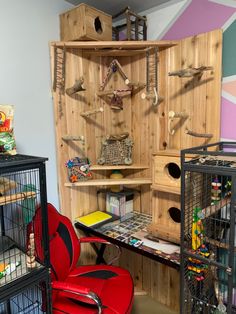 a room filled with lots of bird cages next to a red chair and wooden shelves