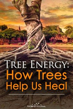 Tree Energy: How Trees Help Us Heal Tree Energy, Usui Reiki, Channeling Energy, Reiki Symbols, Forest Bathing, Energy Medicine, Vie Motivation, Spiritual Healing, Reiki Healing