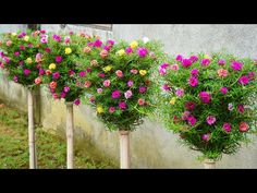 three wooden poles with pink and yellow flowers in them next to a concrete wall on the grass