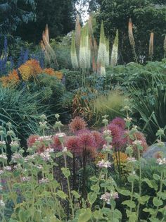 the garden is full of colorful flowers and plants with long thin stalks in the foreground