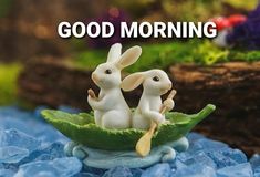 two white rabbits sitting on top of a leaf with the words good morning above them