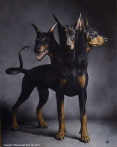 two dogs standing next to each other on a gray background, one is black and the other is brown