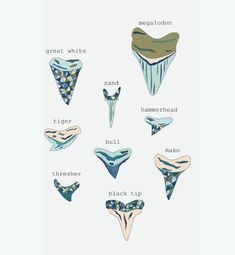 the different types of bikinis are shown in this illustration, and each one has its own name on it