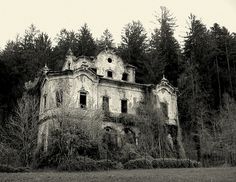 an old abandoned house in the middle of a forest with lots of trees around it