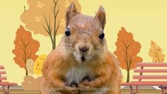 a squirrel sitting on top of a wooden table next to park benches and autumn trees