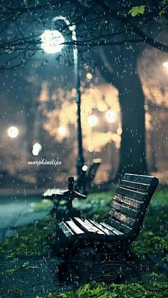 an empty park bench in the rain at night
