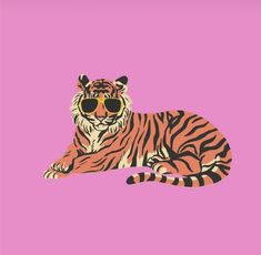 a tiger wearing sunglasses on a pink background