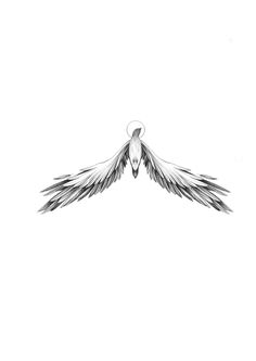 a black and white drawing of a bird's wings