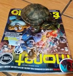 a turtle sitting on top of a magazine with the cover pulled down to look like it is covered in stuffed animals