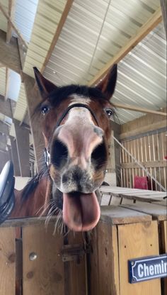 a horse sticking its tongue out in a stable