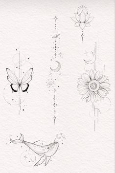 some flowers and butterflies are drawn on paper