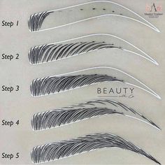 the different types of eyebrows are shown