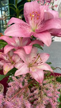 Art, Pink Lilies, The Table, In The Garden, The Garden, Pink Flowers, Vase