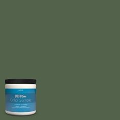 The BEHR PREMIUM PLUS 8 oz. Interior/Exterior Paint Sample lets you try a color before you buy it. This sample is 100% acrylic latex paint that provides a long-lasting, tough finish. For a true idea of whole-room coverage this sample can be tested on almost any interior or exterior surface and covers up to 16 sq. ft. Color: Nature Surrounds. Behr Premium Plus, Behr Ultra, Flat Interior, Spring Rain, Zinfandel, Paint Primer, Great Falls, Painted Ceiling, Vinyl Siding