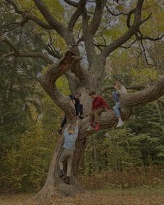 four people climbing up the side of a large tree