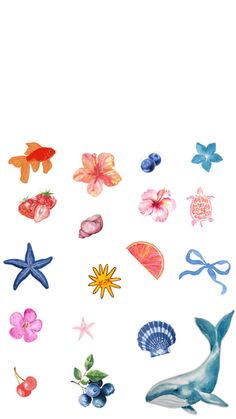 an image of various sea animals and seashells