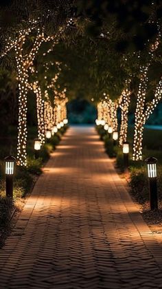 lighted trees line the walkway leading to an outdoor area