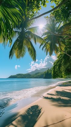 the sun shines through some palm trees on a tropical beach with blue water and white sand