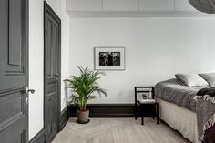 a bedroom with white walls and wood flooring has a plant in the corner next to the bed