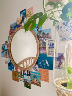 a mirror hanging on the wall next to a potted plant
