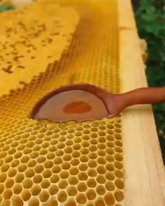 a honeycomb with wax on it and a spatula in the middle that is filled with bees