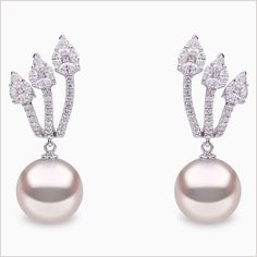 Yoko London 18ct White Gold South Sea Pearl and Diamond Earrings, from our Starlight collection. Free global shipping. White Gold Pearl Earrings, South Sea Pearls Earrings, Golden South Sea Pearls, Diamond Shop, Gold And Silver Rings, Gold Pearl Earrings