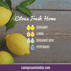 lemons and basil on a wooden table with the ingredients for basil lemonade next to them